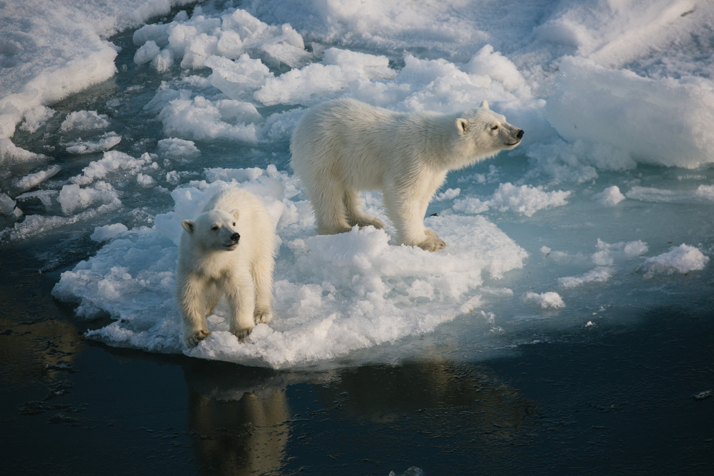 Severní póll, foto John Božinov